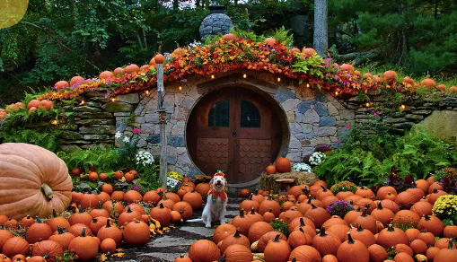 swedish halloween pumpkin patch