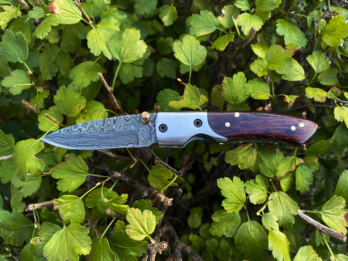 Knife: Damascus Steel Black Walnut Handle EDC "Every Day Carry" Pocket Knife