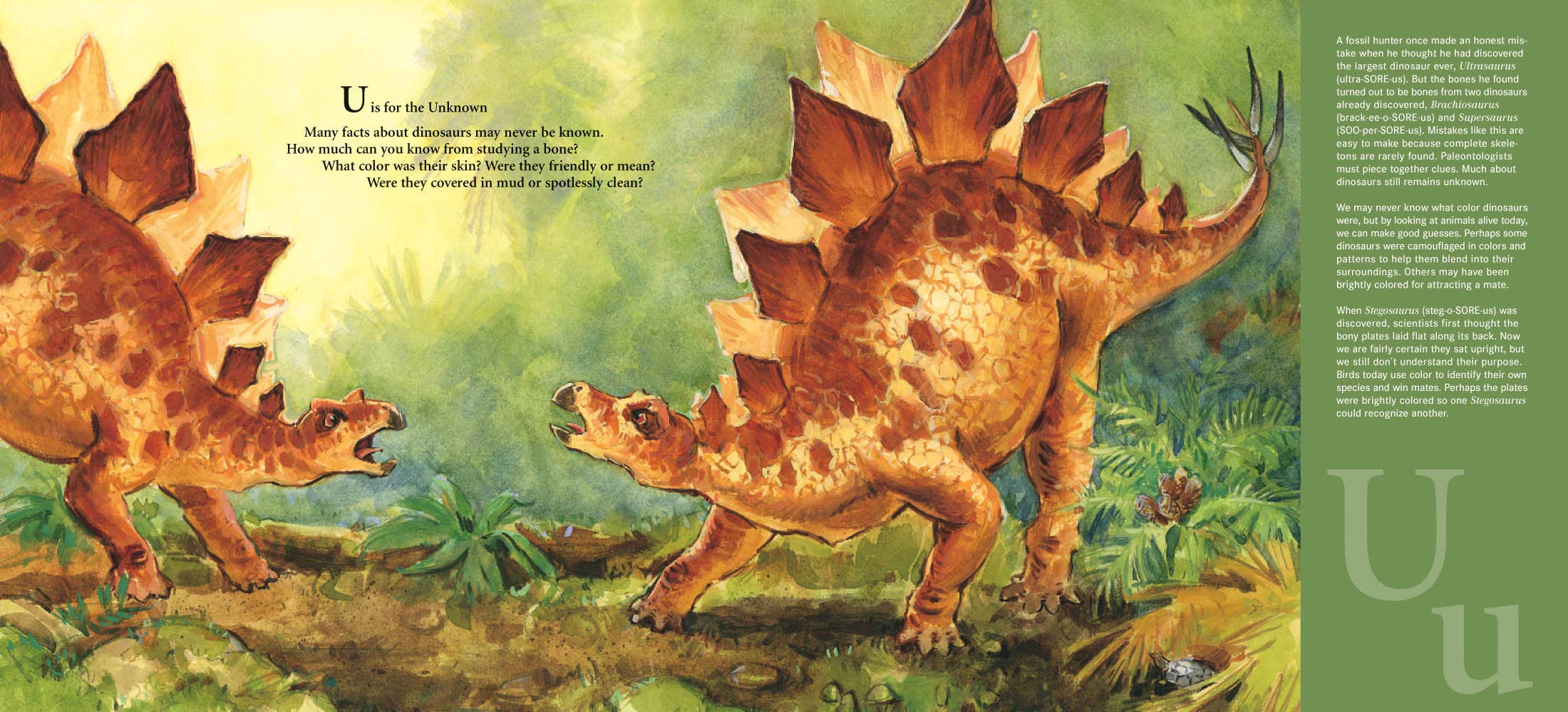 In Book: D is for Dinosaur, two illustrated stegosauruses against a green forest backdrop welcome young explorers into the prehistoric world, with vibrant green sidebar text designed to intrigue budding paleontologists in this captivating dinosaur picture book by Todd Chapman & Lita Judge.