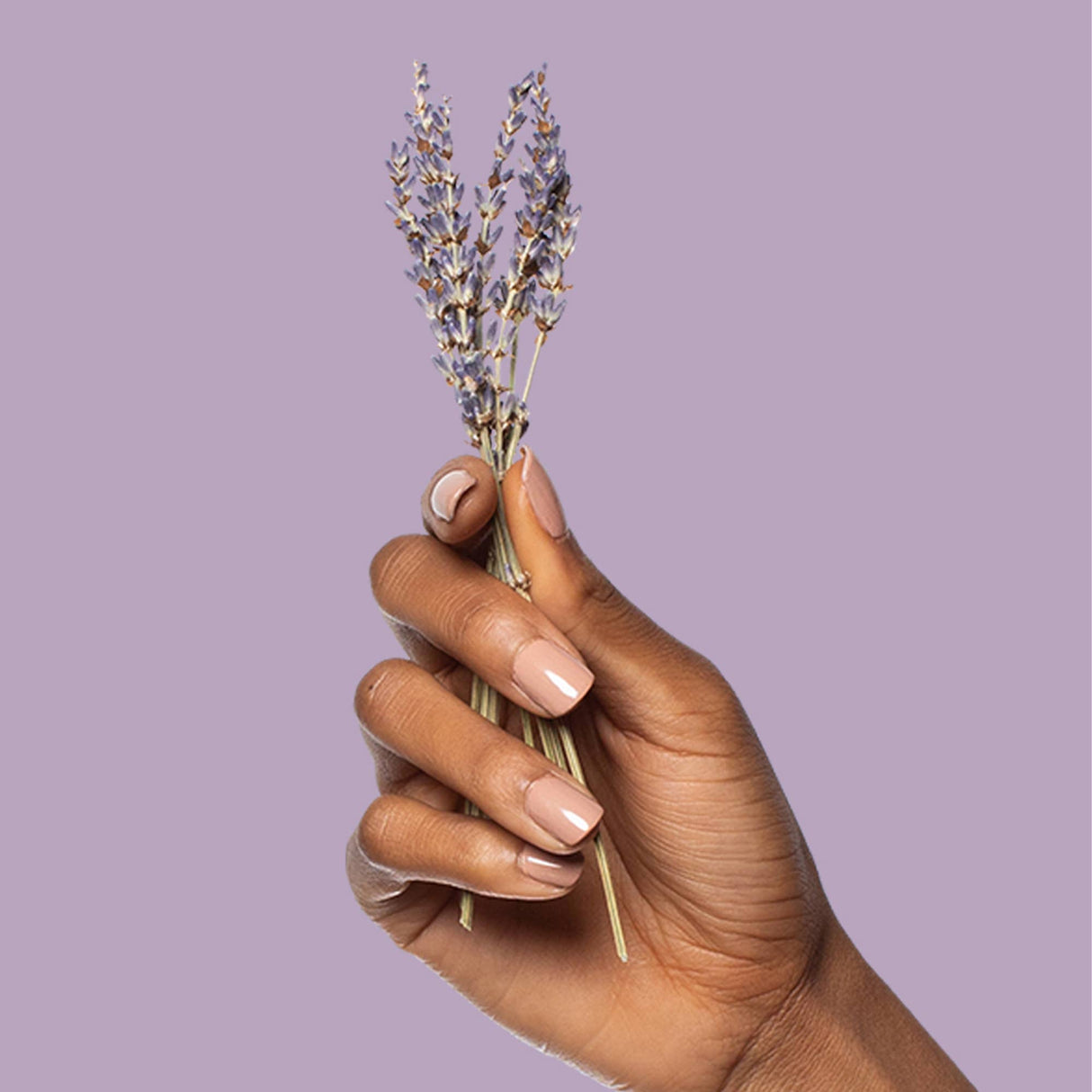 Spray: Poo~Pourri Lavender Vanilla Toilet Spray Made with Essential Oils 4oz.: Lavender + Vanilla + Citrus Up to 200 Uses