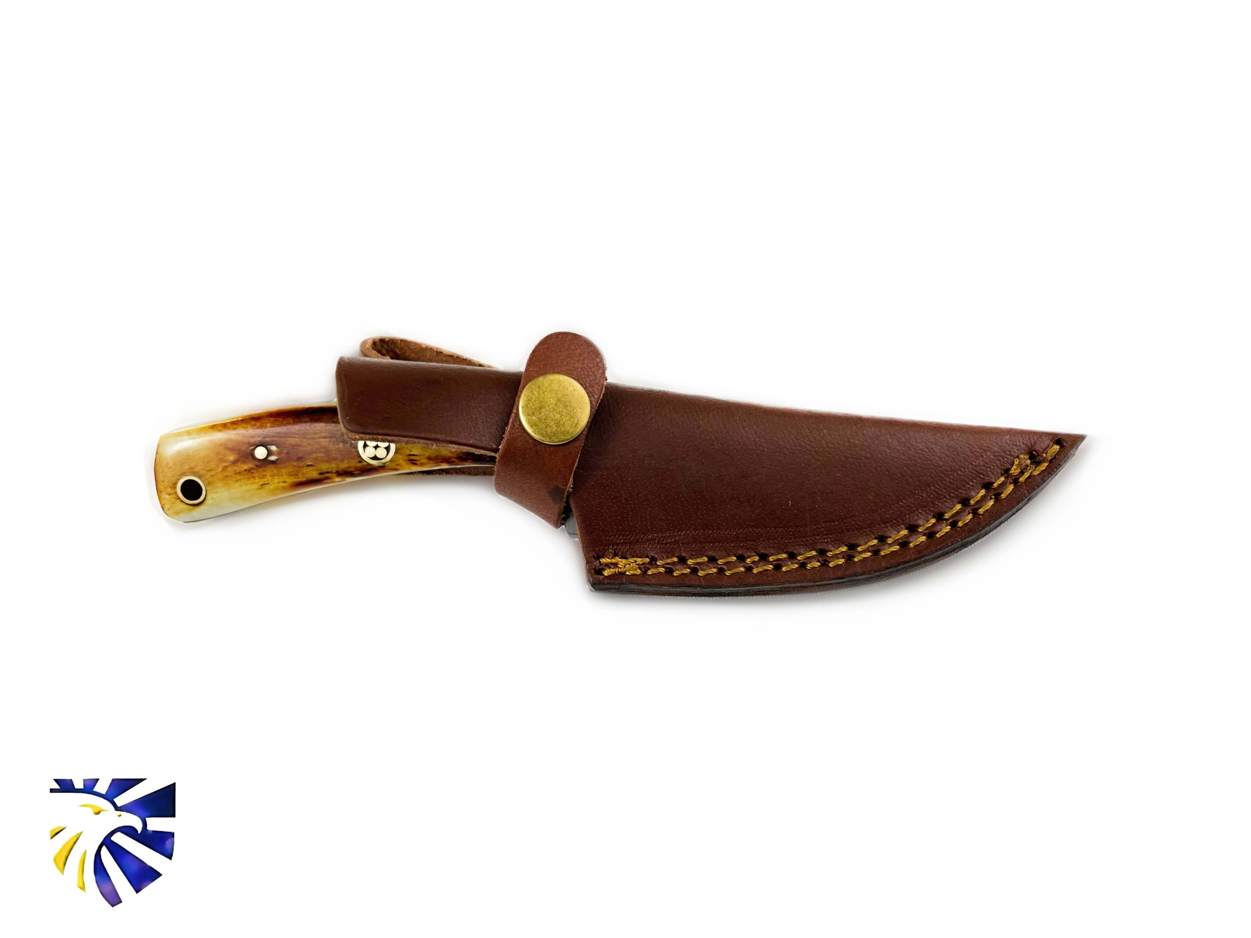 The Knife: Carbon Skinning/ Hunting Knife features a fixed blade and wooden handle, partially enclosed in a brown leather sheath with visible stitching and a brass snap. A blue and yellow eagle logo appears in the bottom left corner.