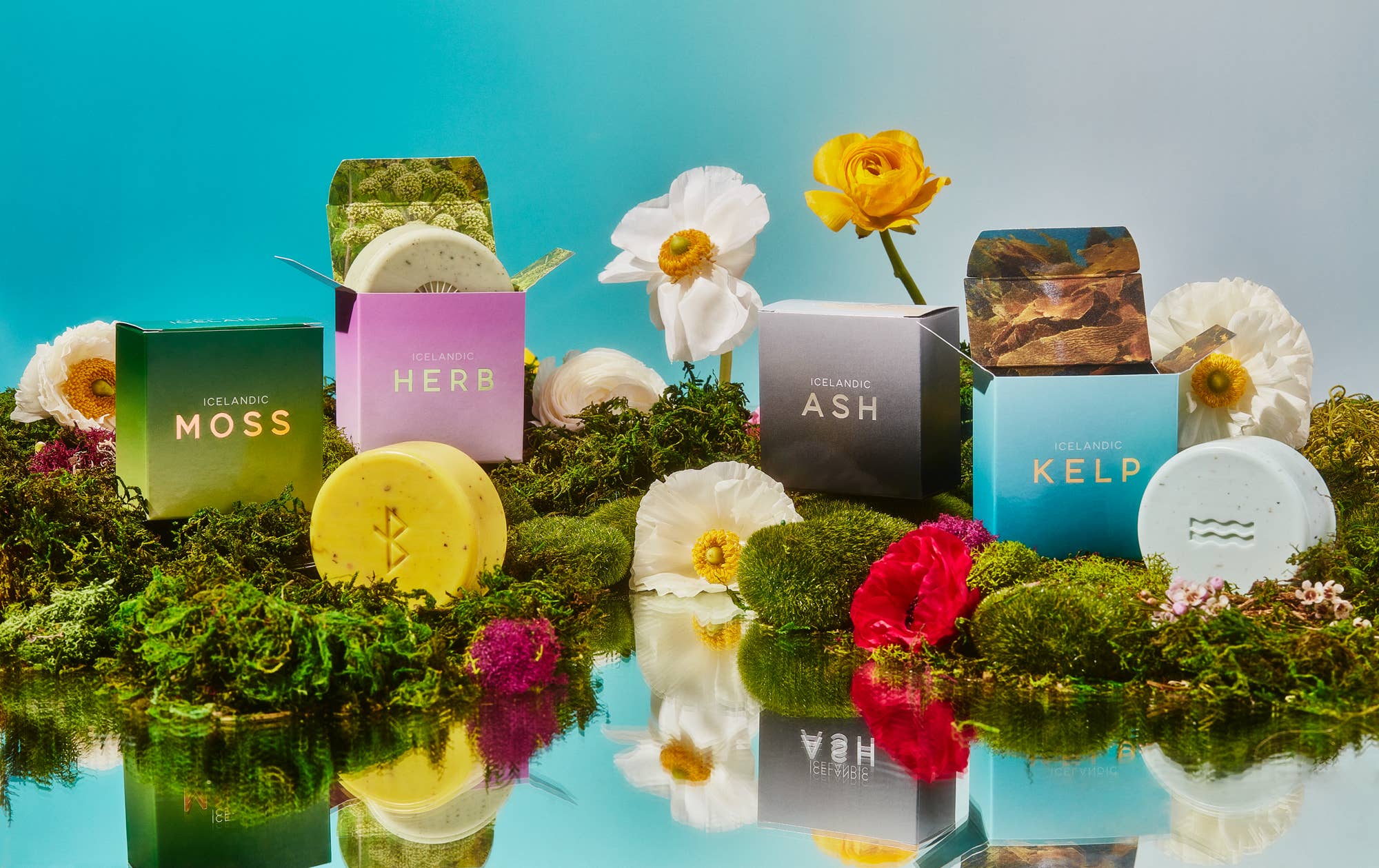 Four boxes of Hallo Iceland Moss Soap in Gift Box are displayed among moss and flowers on a blue background, emphasizing eco-friendly skincare inspired by Iceland.
