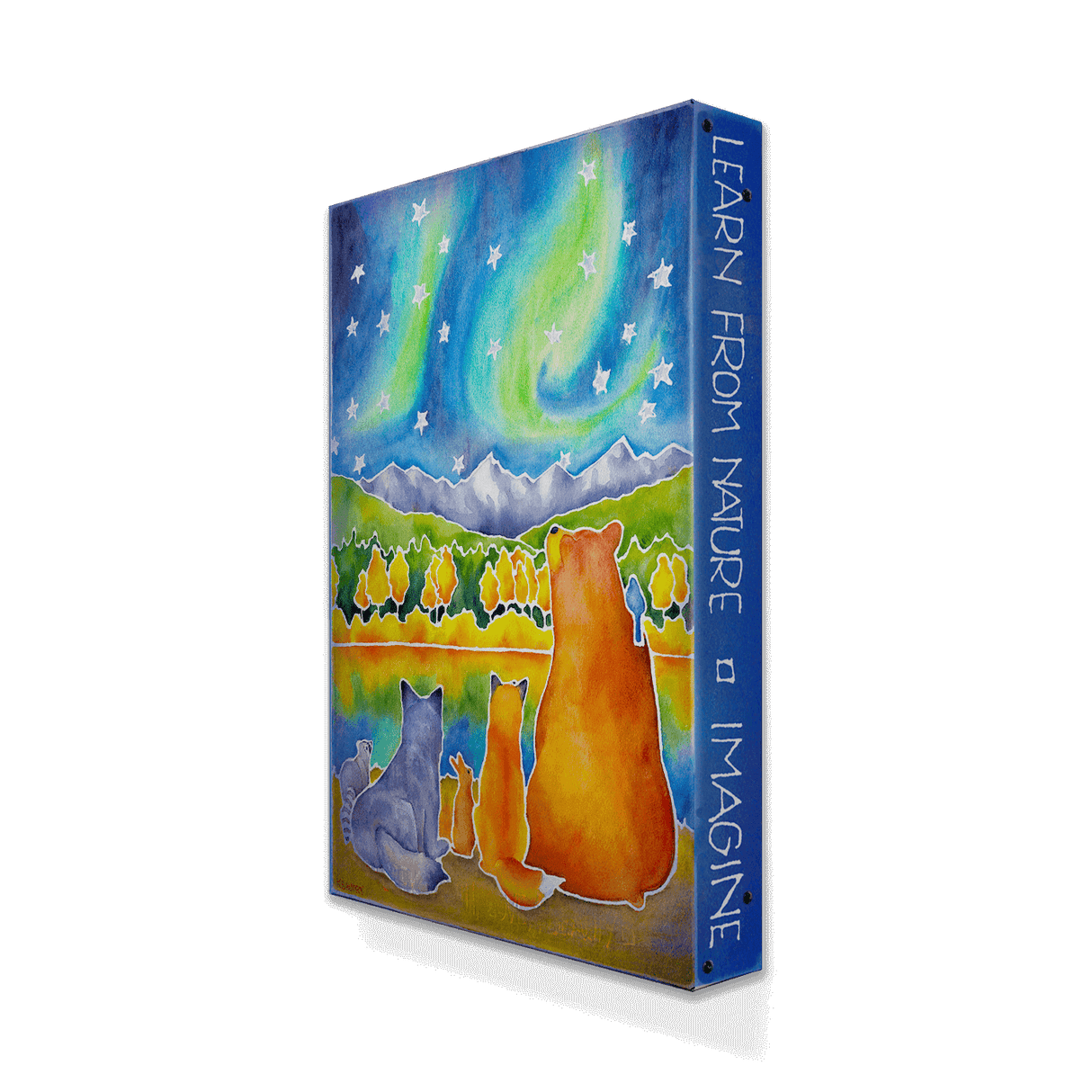 Drawn to the Lights Metal Box Art (18" x 26" x 3") features Scandinavian woodland animals watching the northern lights over mountains—a charming aluminum wall decor piece for any collection.