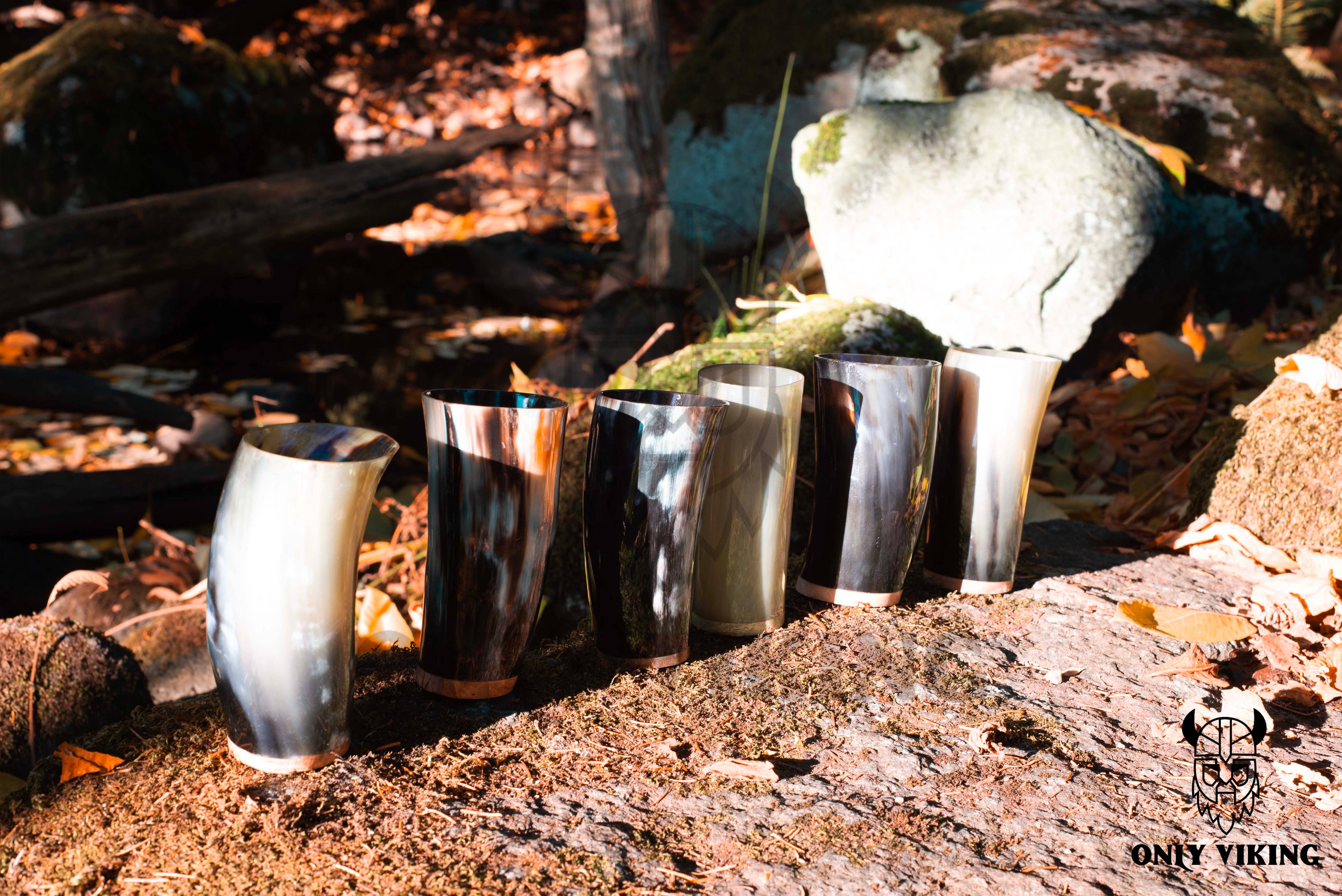 Six Drinking Horn: Beer Stein 6 Inch mugs are lined up on a mossy forest floor, surrounded by rocks and autumn leaves.