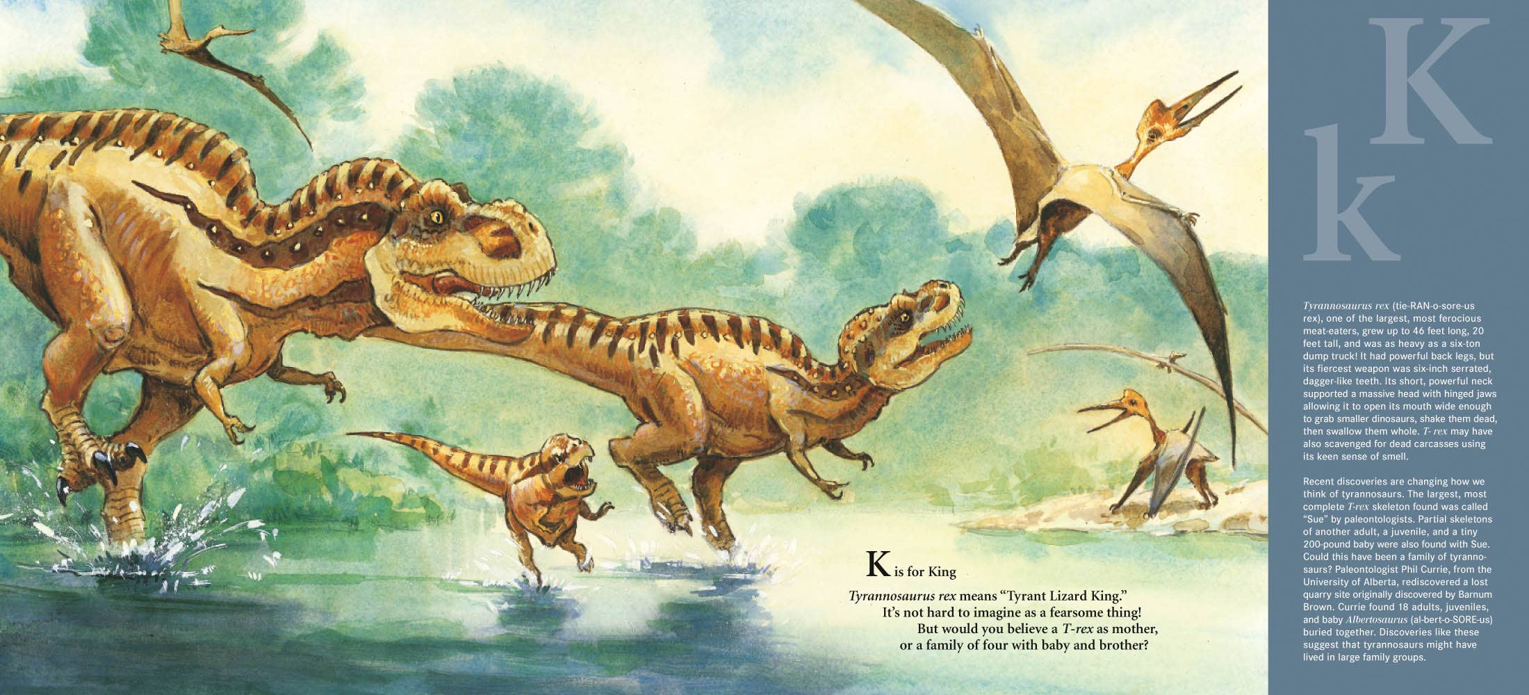 In D is for Dinosaur: A Prehistoric Alphabet by Todd Chapman & Lita Judge, illustrations of four feathered Tyrannosaurus rex dinosaurs sprinting through water amidst flying pterosaurs vividly bring prehistoric life to your fingertips, with informative text and a poem on the right.