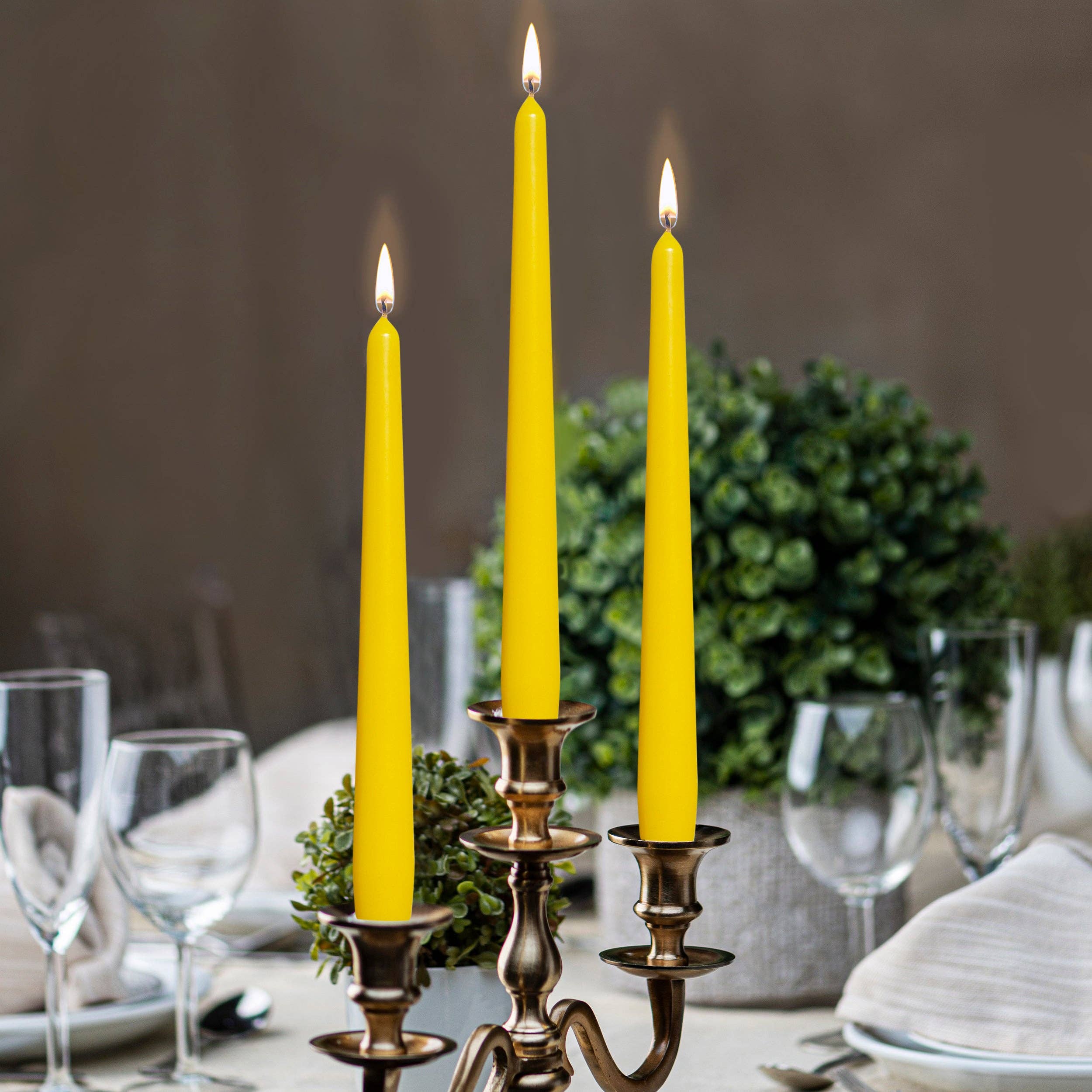 Three lit Tall 10 Inch Unscented Taper Candles on a brass candelabrum amidst a formal table setting with glassware, plates, and two green decorative plants in the background.