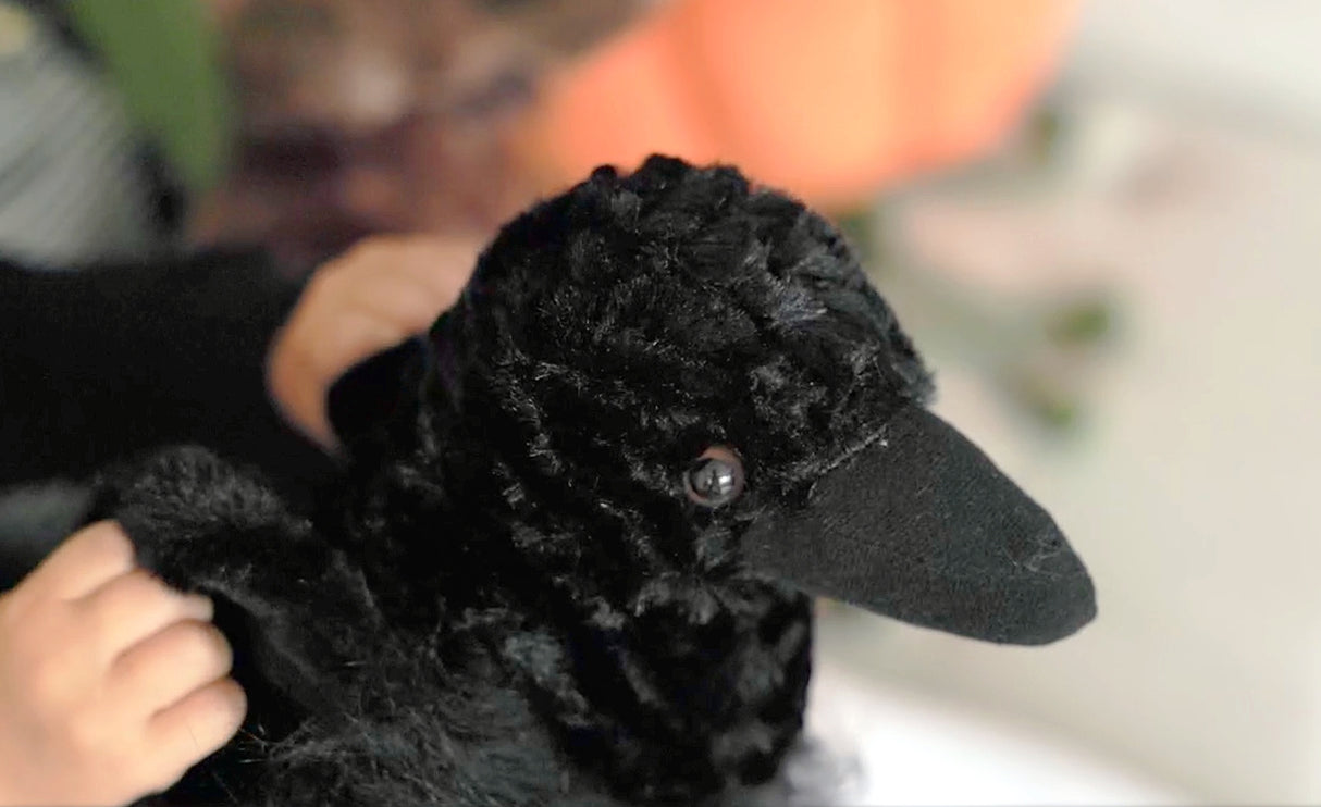A close-up of a plush black bird, specifically the 12″ tall Plush: Raven Wild Onez Raven Stuffed Animal from Faire - The Petting Zoo, featuring soft textured fur and plastic eyes, being gently held in a child’s hands.