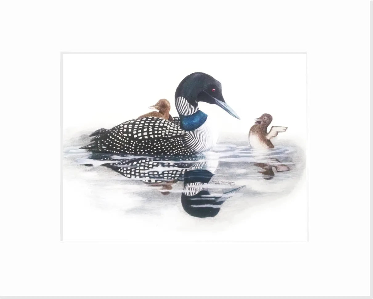 Artwork: "Loon: Born for the Water" Giclée Print 11x14