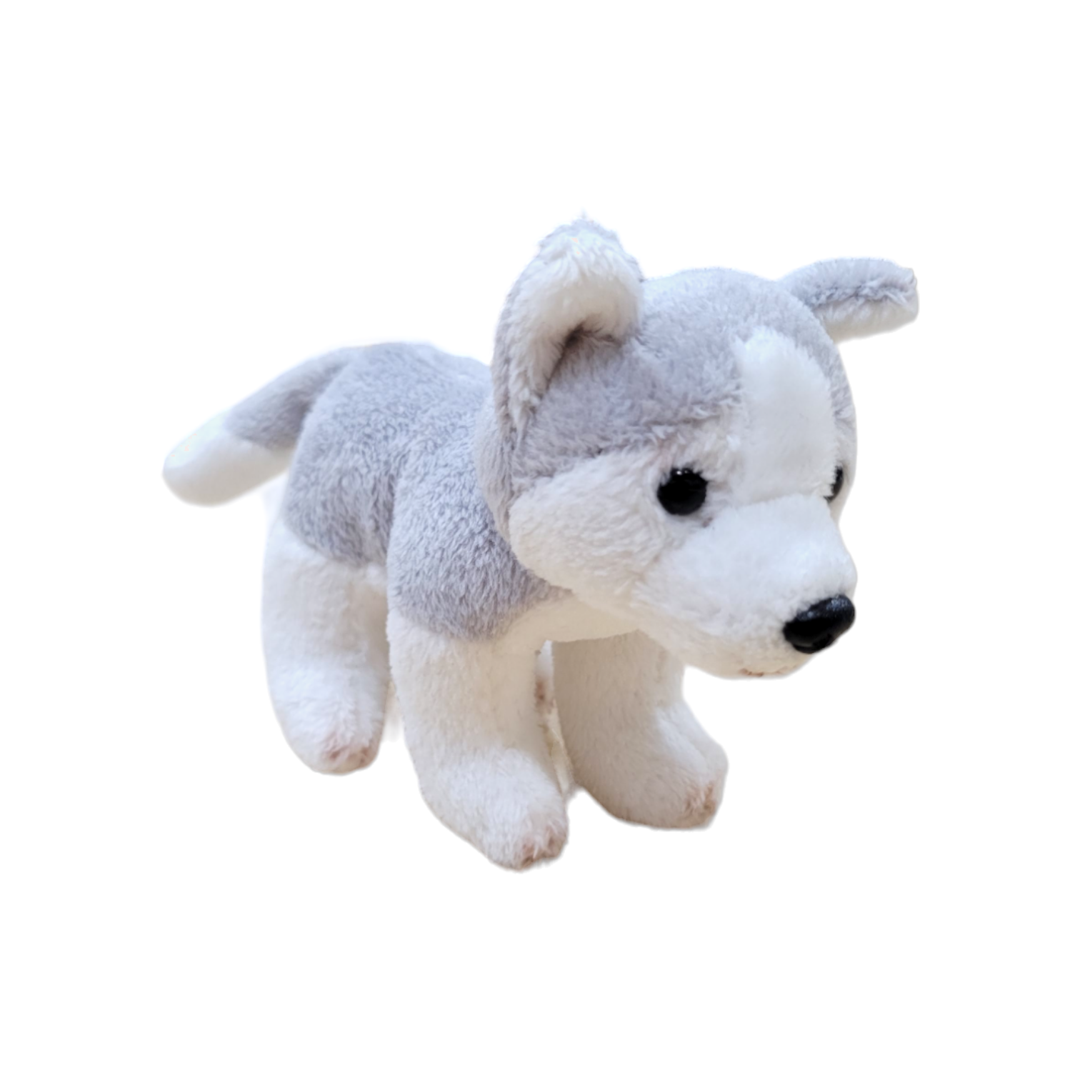 A small, plush 3" Husky Puppy from Anja's collection, featuring gray and white fur, stands proudly on a white background, reminiscent of a delightful find from The Wish Book's Brave Little Puppy series.