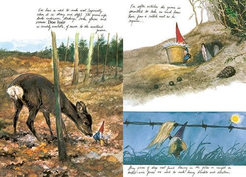 Inspired by "Book: Gnomes" (Abrams)—with intro by Brian Froud, text by Wil Huygen, art by Rien Poortvliet—these four charming scenes of gnomes in nature each include handwritten notes to capture the spirit of the classic book.