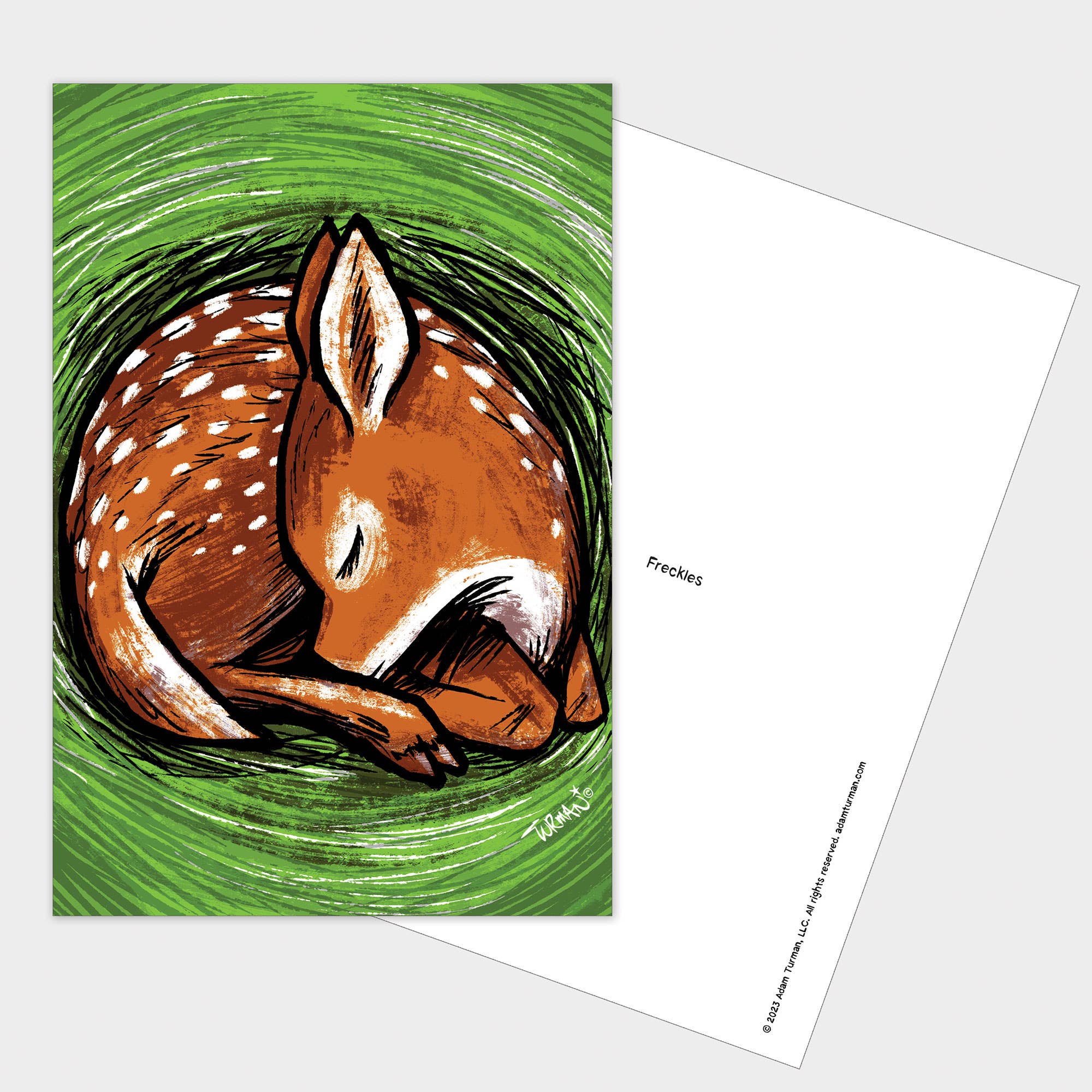 Illustration of a curled-up fawn with white spots, lying on green grass. The back shows the title Freckles. Postcards: MN Abbey Road is a charming Minnesota postcard, ideal as a collectible print.