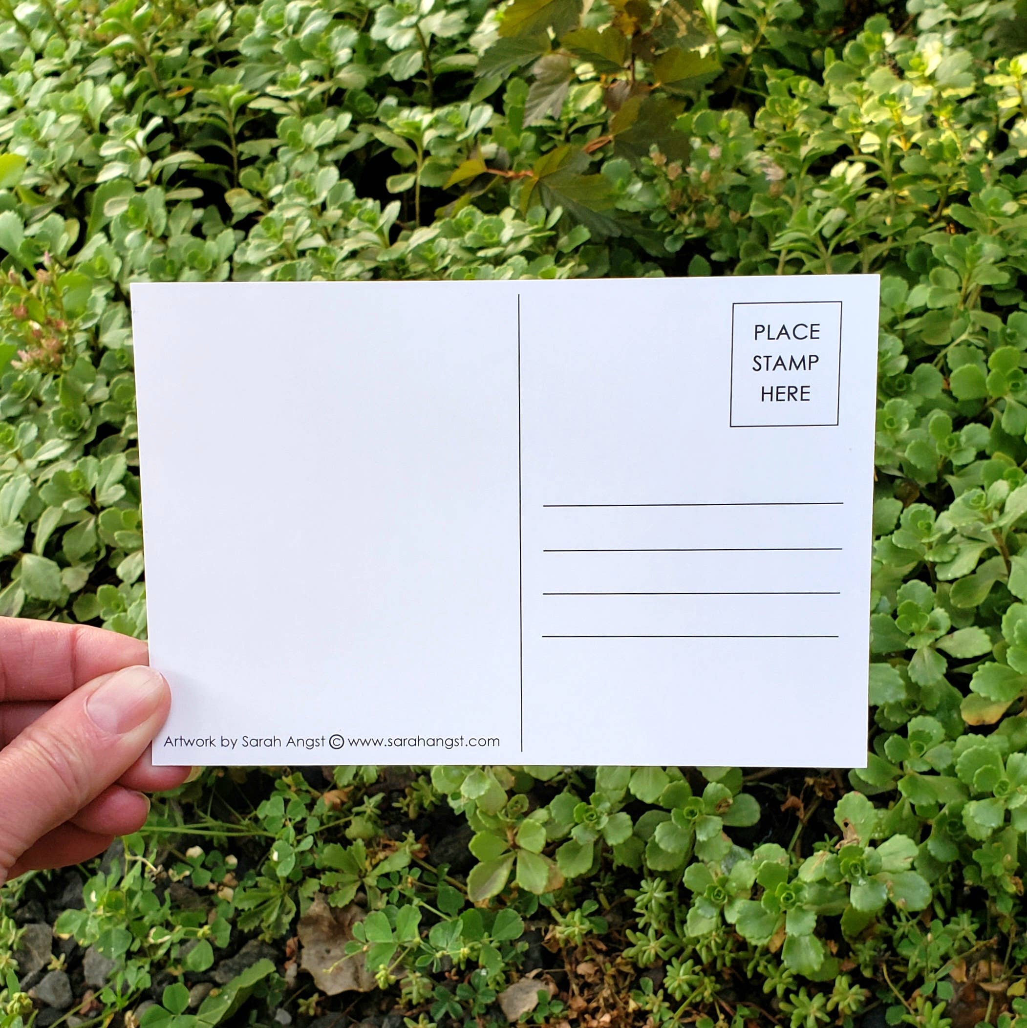 A hand holds the "Postcard: Holiday Moose by Sarah Angst" (4x6 inches) against a background of green plants, showing lines for an address and a box labeled Place Stamp Here.