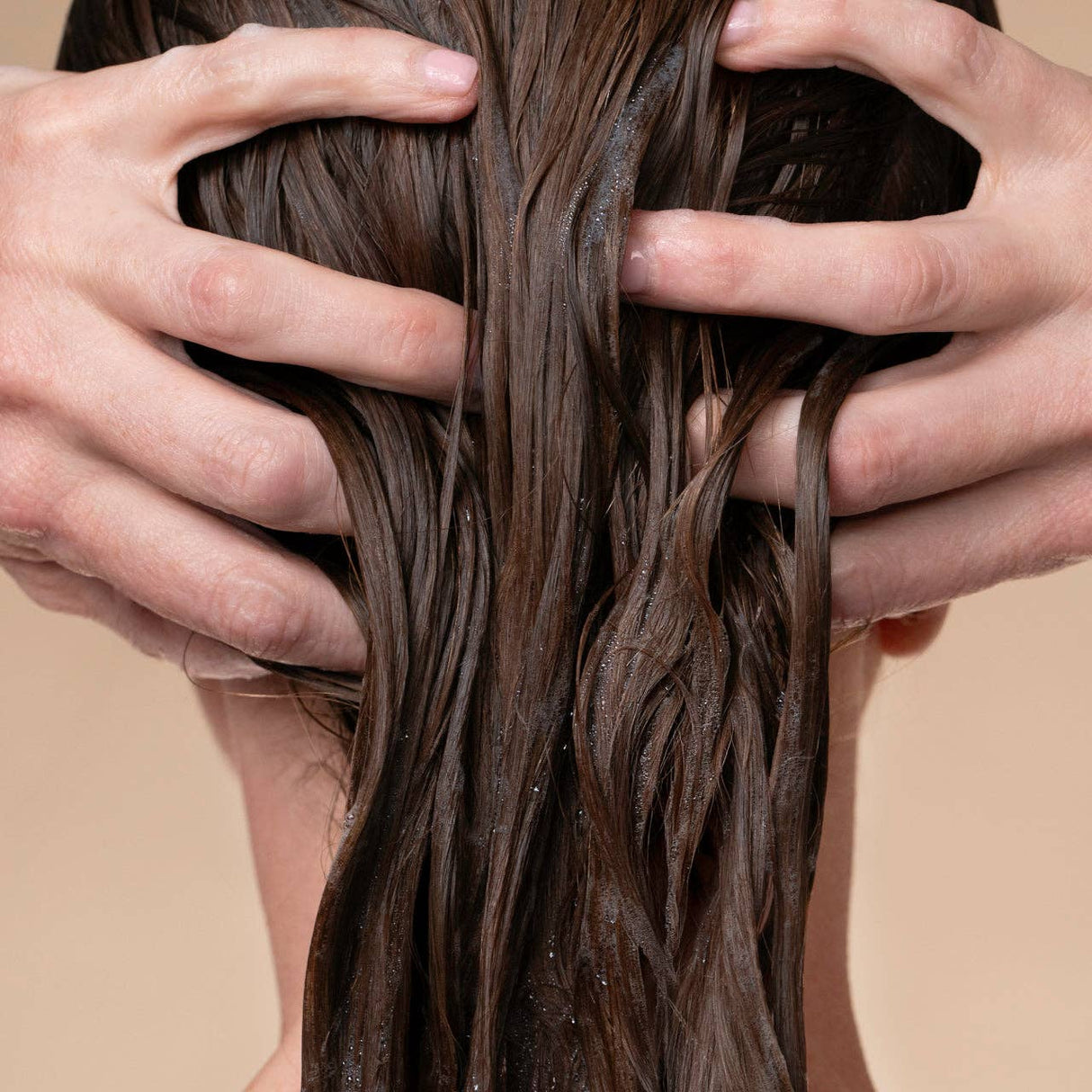 Hands massaging the scalp of a person with wet, brown hair, viewed from behind—a great moment for using Hair: Volumizing Rosemary & Biotin Conditioner 12 fl oz. to help support thicker, fuller-looking hair.