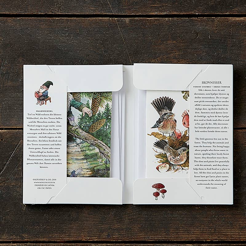 Explore charming forest scenes with our Card Pack: Forrest Gnomes - Skovnisser, featuring Peter Nielsens illustrations. Delight in 8 cards showing birds, mushrooms, and gnomes; each comes with an envelope by Koustrup & Co, Denmark.