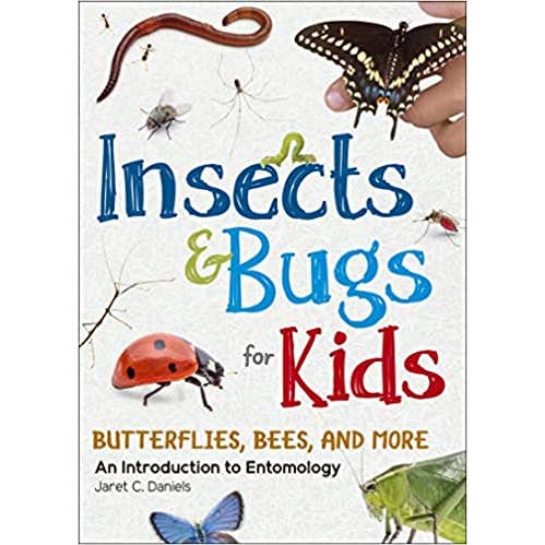 Book: Insects & Bugs for Kids
