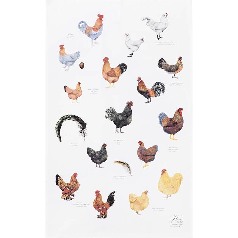 The Annemarie Haase Koustrupco Tea Towel vividly showcases diverse Danish chicken breeds and feathers against a white backdrop, with each species gracefully labeled. Made from 100% organic cotton, this product melds informative content with stylish design, making it an ideal addition to any kitchen decor.