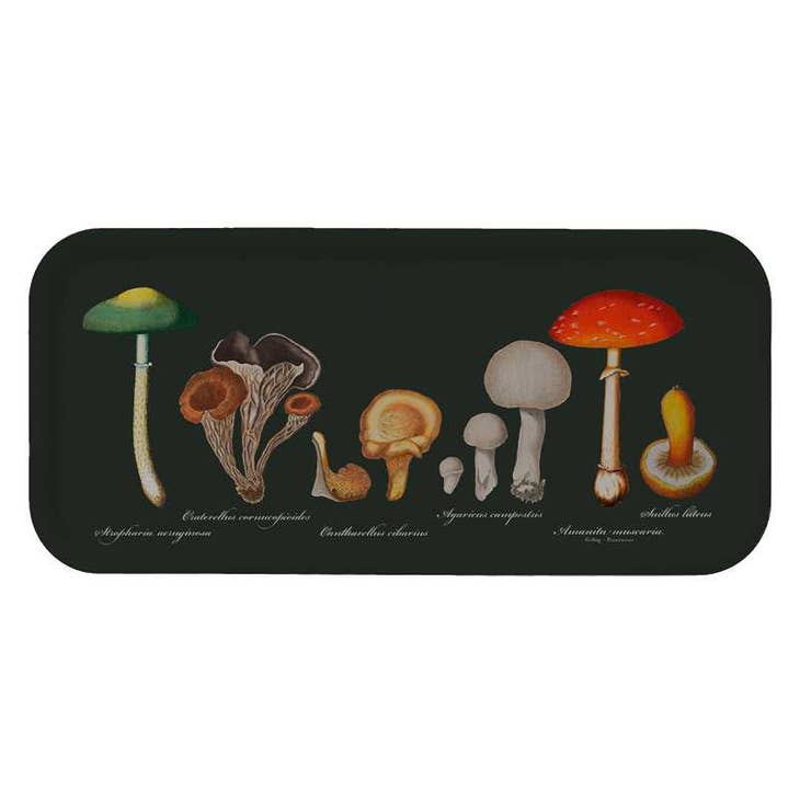 The Svampe Tray by Koustrup & Co Denmark features illustrations of six mushrooms in green, brown, white, and red on a dark background. Each is labeled in cursive. This Nordic birch veneer tray with melamine coating mimics an exquisite mushroom display.