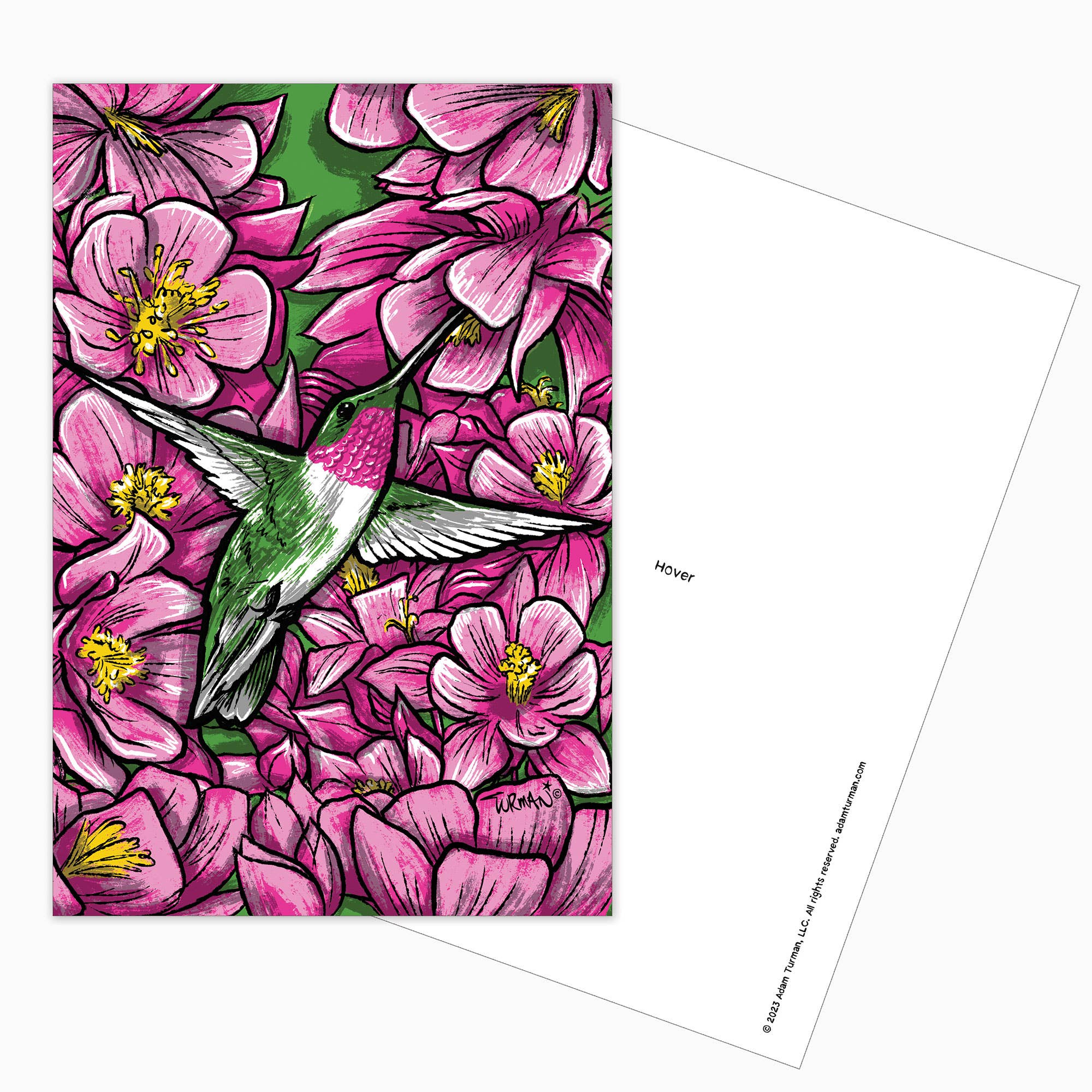 Illustration of a hummingbird hovering among large pink flowers with green leaves, viewed from above. Next to the artwork is a card titled Postcards: MN Abbey Road, resembling a collectible Minnesota postcard or unique print.