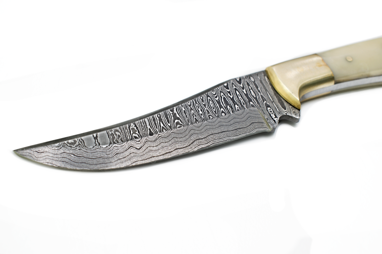 Knife: Damascus Steel Knife Blade with Camel Bone Handle Knife