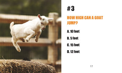 Amid wooden fences, a goat takes a leap as part of the farm animal trivia featured in the "Mini Book + Screaming Goat Desktop Companion." The question remains: How high can a screaming goat jump? Options: A) 10 feet, B) 5 feet, C) 15 feet, D) 12 feet.
