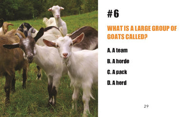 A group of goats is gathered in a grassy field. The accompanying text provides some farm animal trivia, asking: What do you call a large group of goats? with the options being: A team, B horde, C pack, D herd. This Mini Book + Screaming Goat Desktop Companion is perfect as a gag gift for anyone who enjoys fun facts or the popular screaming goat videos!