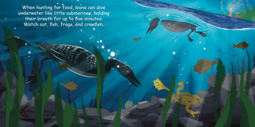 Perfect for young bird-watchers, Book: Good Night Loons by Adam Gamble & Mark Jasper features loons diving underwater among fish, a frog, and a crawfish, and includes facts about loons holding their breath for five minutes when hunting.