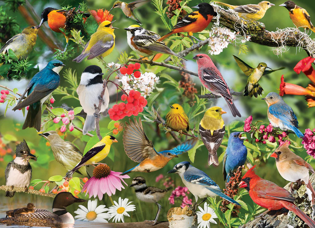 Puzzle: Winged Wonders 1000 Piece "4More!" PuzzleTwist Jigsaw Puzzle by Mike Lentz