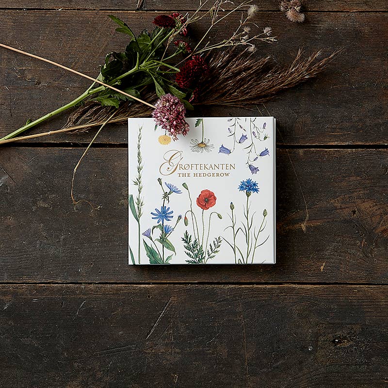 Card Pack: Hedgerow Square w/ 8 cards and envelopes in Cardfolder