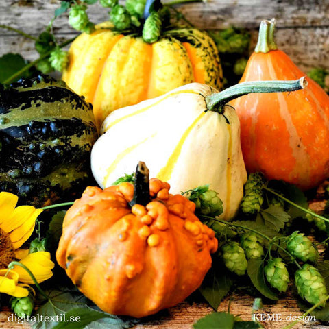 Swedish Dishcloth - Pumpkins