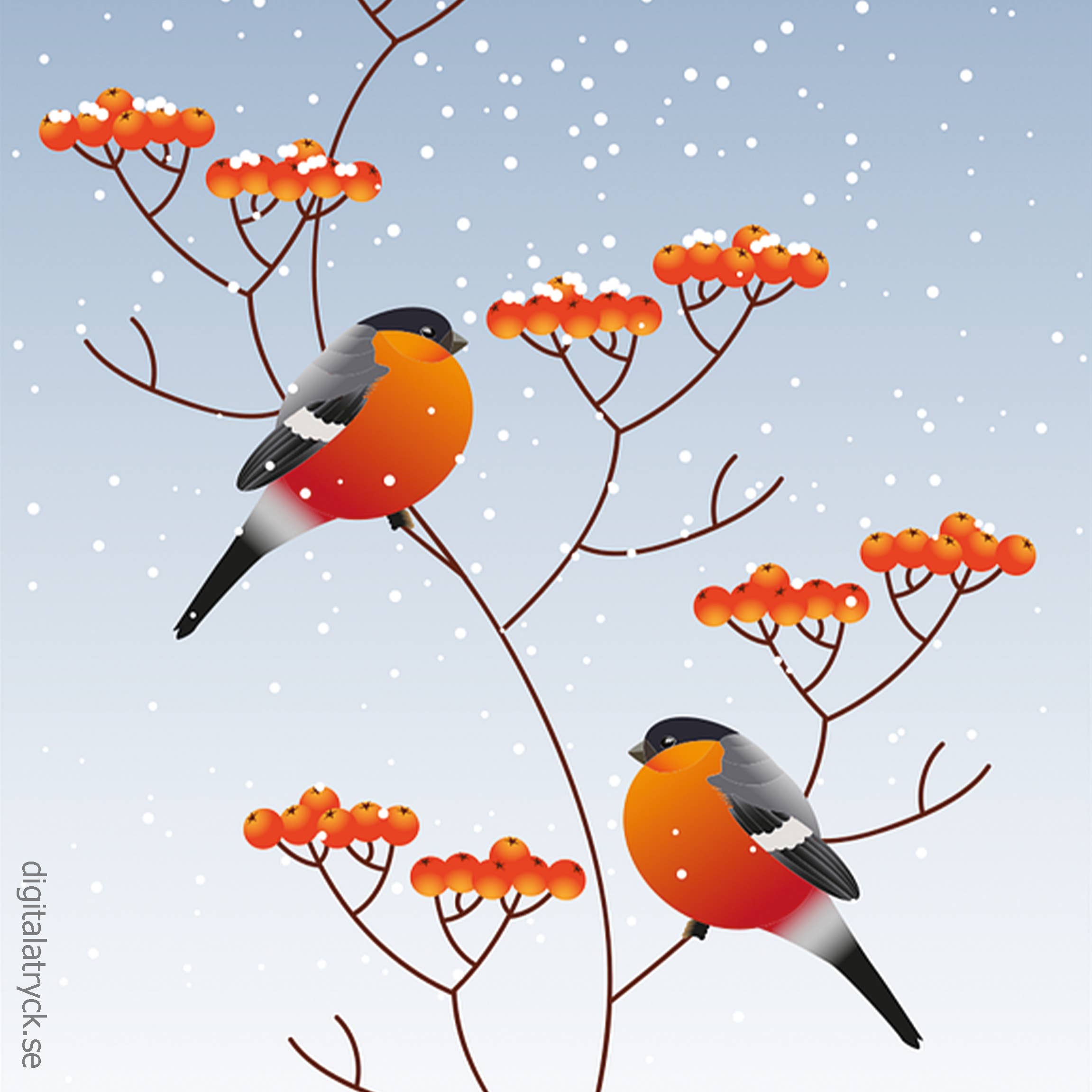 Two vibrant orange and black birds perched on branches with red berries against a snowy backdrop, echoing the striking colors of the "Dish Cloth: Bullfinches in Snowfall.