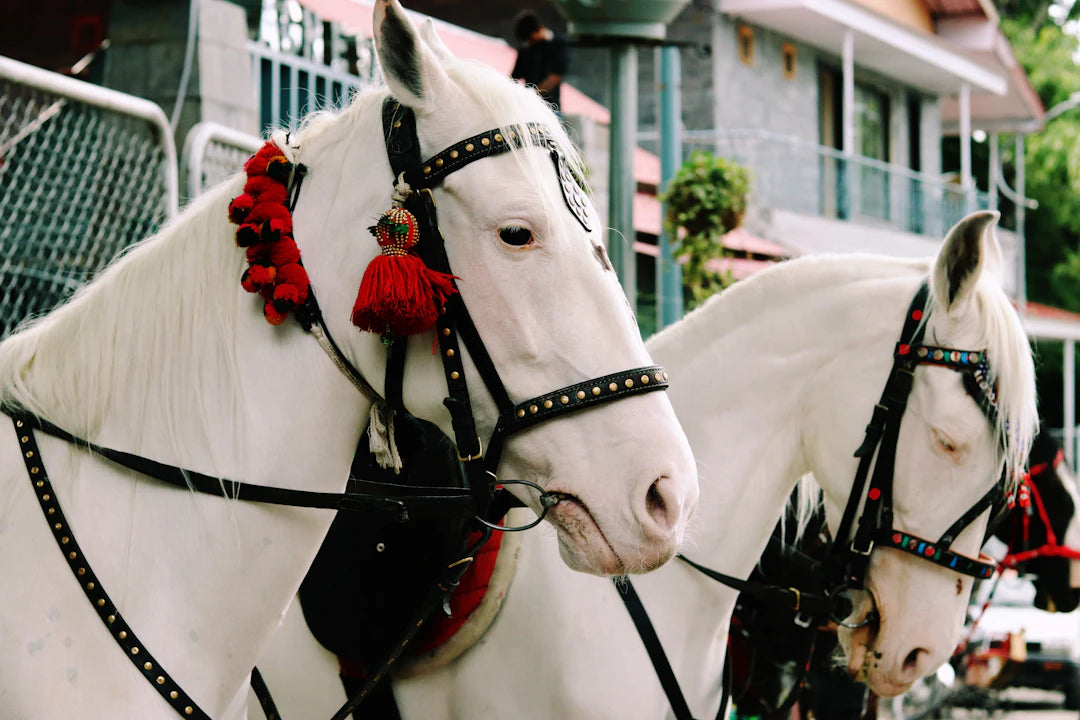 Charming Dala Horses Handcrafted Treasures from Sweden