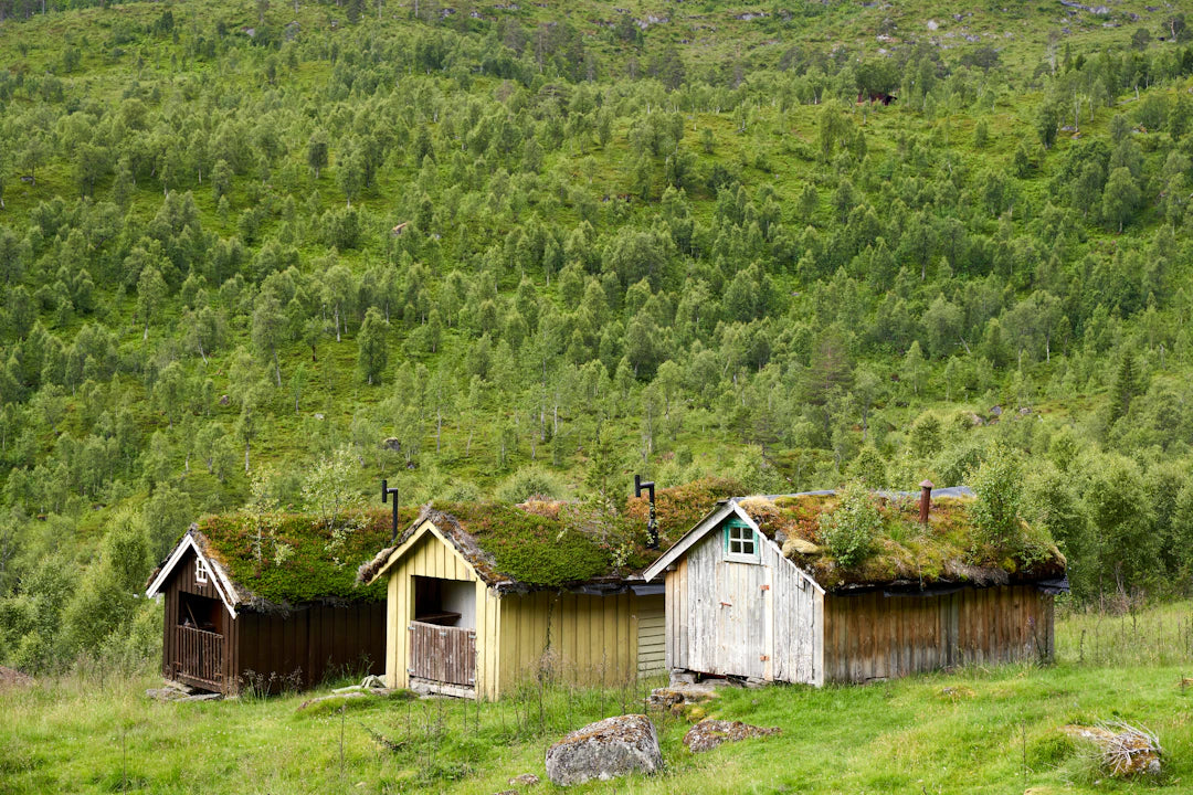 Sustainable Gifting The Eco-Friendly Appeal of Scandinavian Products