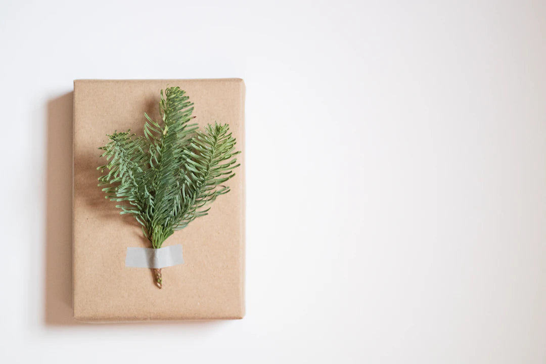 Sustainable Gifting Eco-Friendly Scandinavian Products