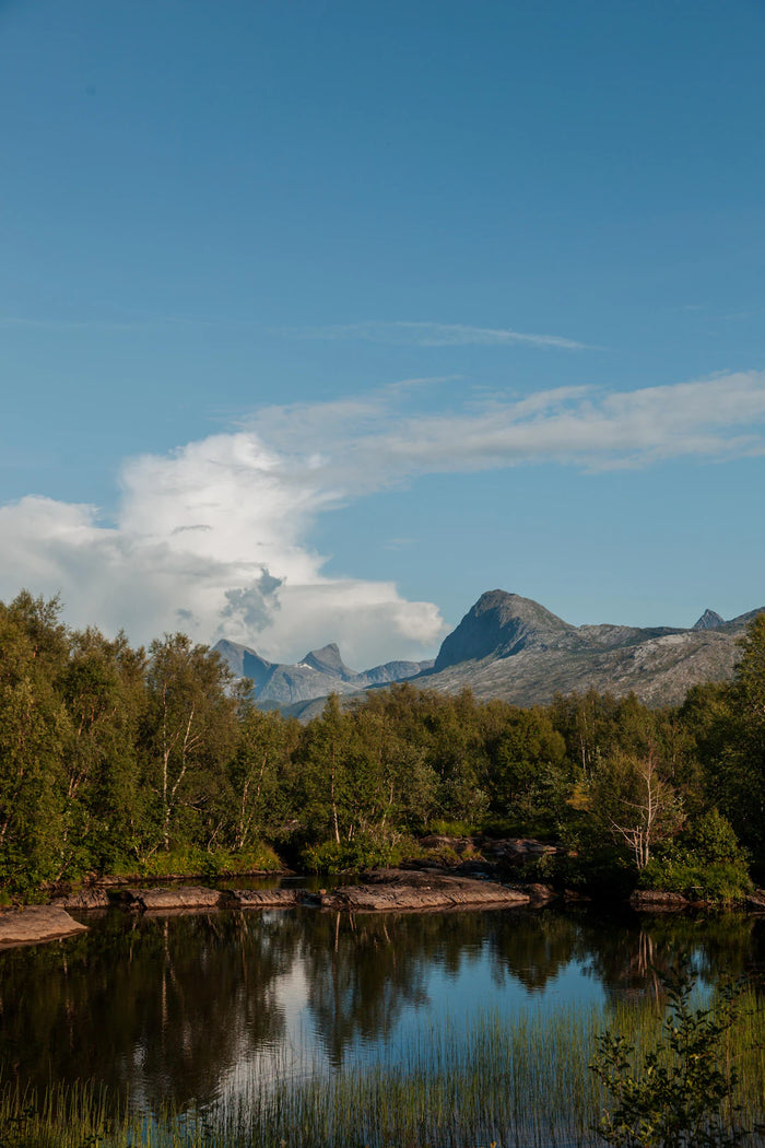 The Impact of Nature on Scandinavian Gift Design