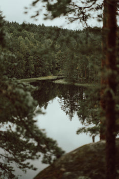 The Influence of Nature in Scandinavian Gift Ideas