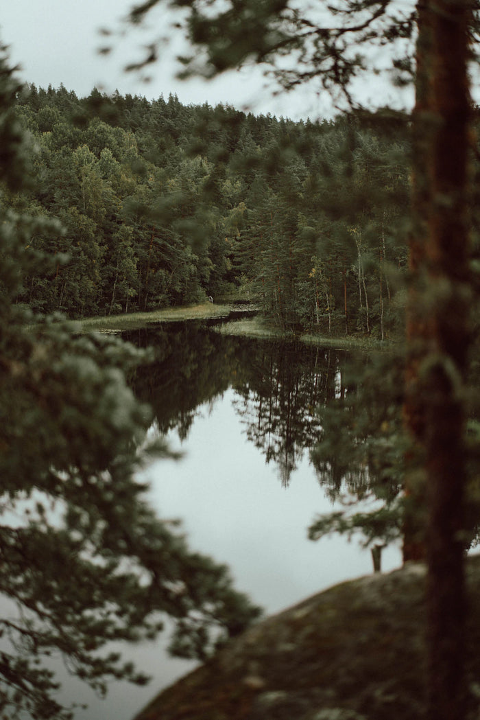 The Influence of Nature in Scandinavian Gift Ideas