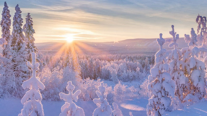 Snowy Minnesota landscape with bundled-up person in cozy winter wear
