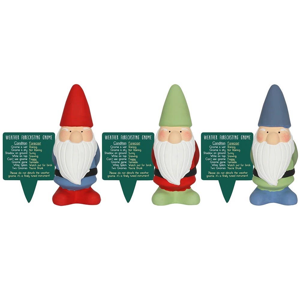 The Gnome: Terracotta Weather Forecasting Gnome Garden Ornament features four cheerful gnomes with colorful hats and weather signs, adding a whimsical touch to outdoor spaces. Each serves as a charming ornament, blending functionality with playful flair.