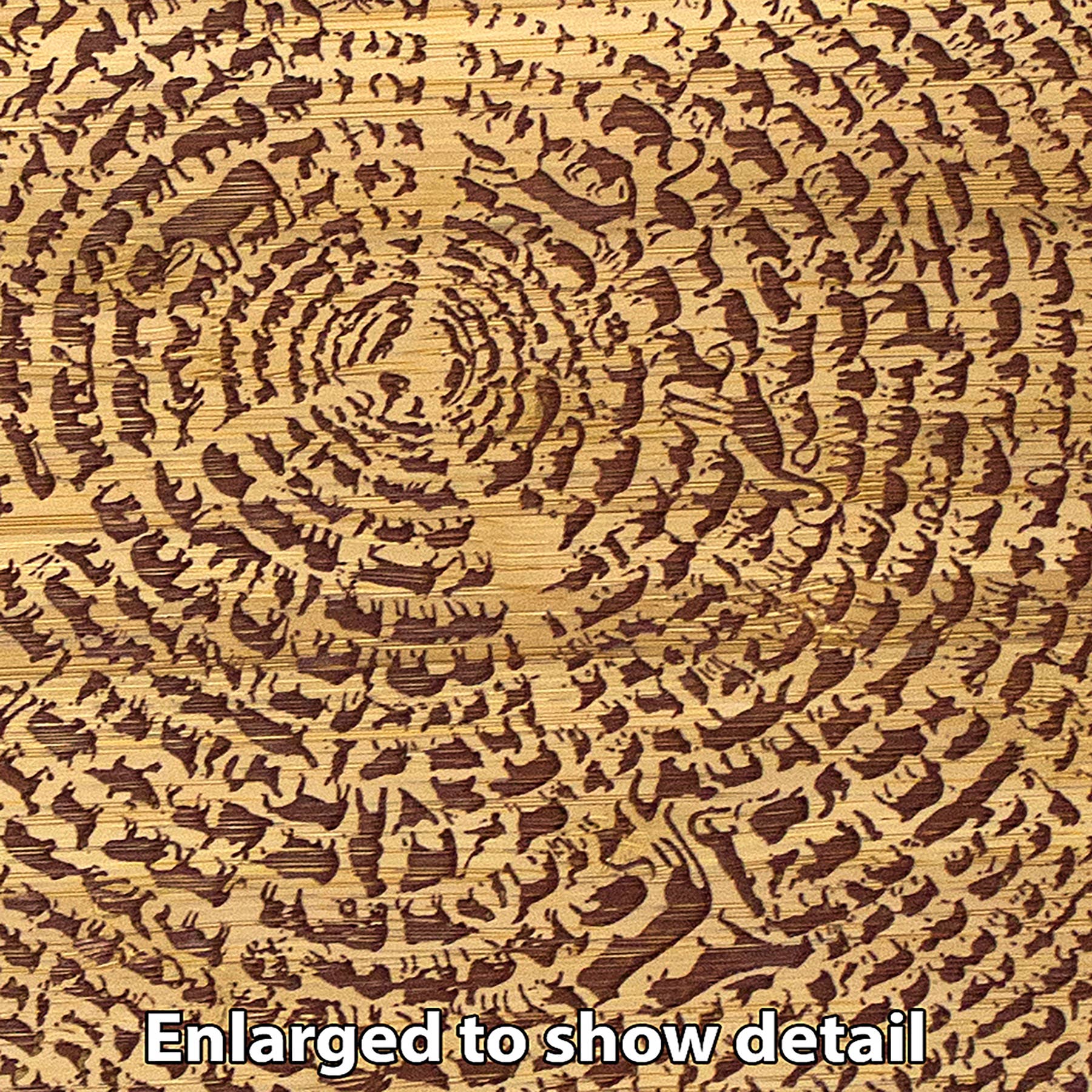 Close-up of a sustainable bamboo cross-section with visible growth rings, displaying intricate patterns and textures. Text reads, "Enlarged to show detail," evoking the image of an engraved piece such as the Tree Of Life Serving Board: 13".