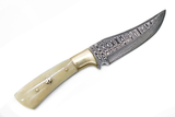 Knife: Damascus Steel Knife Blade with Camel Bone Handle Knife