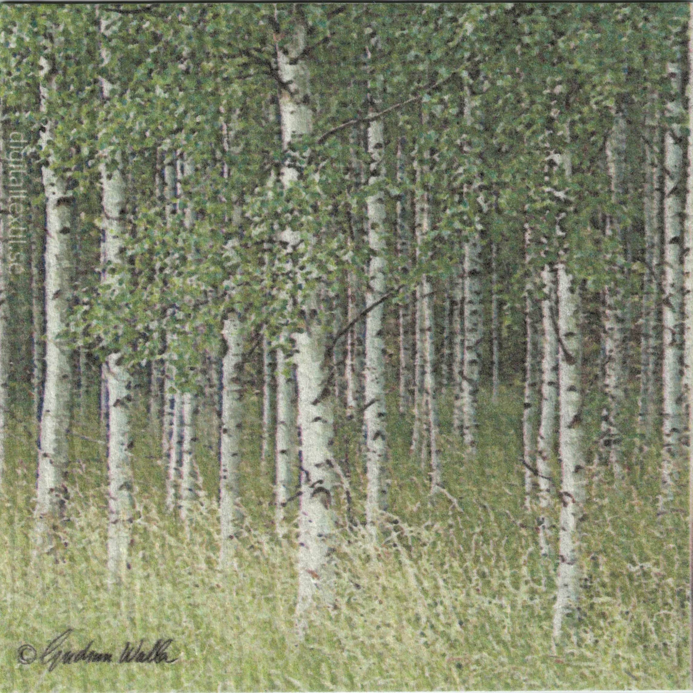 Amidst tall grass, a cluster of birch trees with white bark and green leaves captures the natural texture and simplicity found in the "Dish Cloth: Birch Trees.