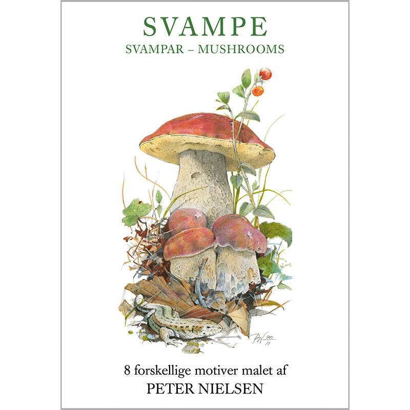 Card Pack: Mushrooms Svampe 8 cards w/envelopes in a Cardfolder