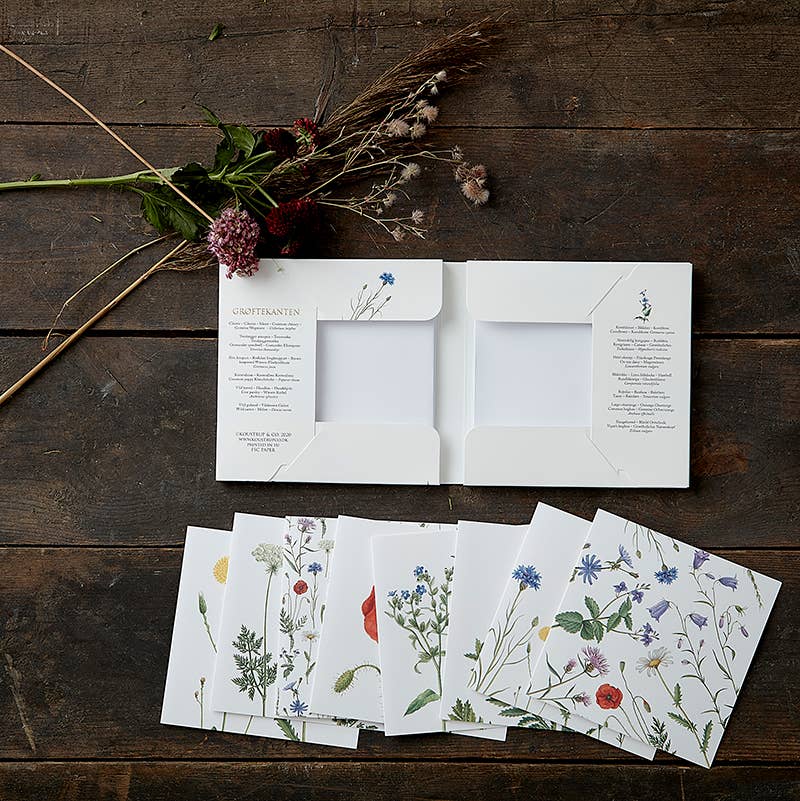 An open book on a wooden table displays beautiful botanical illustrations of wildflowers and herbs across nine pages. Nearby, dried flowers are ready to be slipped into FSC certified envelopes from the Hedgerow Square Card Pack, infusing a natural charm into each message sent with its eight cards and envelopes, neatly organized in a cardfolder.