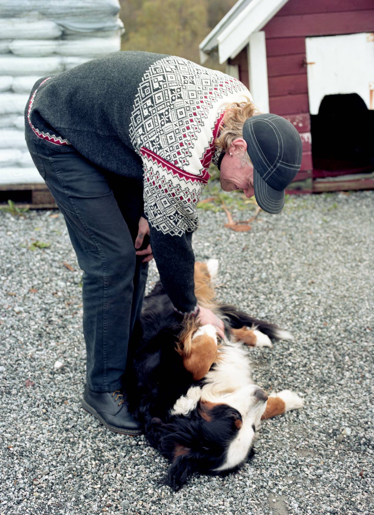 Wearing a Narvik Ski Sweater in charcoal, an individual with a matching cap is petting a large dog lying on its back on gravel near a red structure.