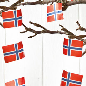 Ornament: Norwegian Flag Garlands, each measuring 2 meters in length, elegantly dangle from the tree branches against a pristine white backdrop.
