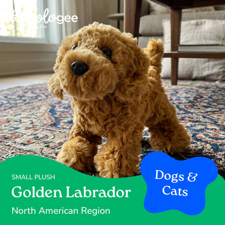 Small Golden Doodle plush standing on a multicolored patterned rug in a living room with sunlight coming through the window.