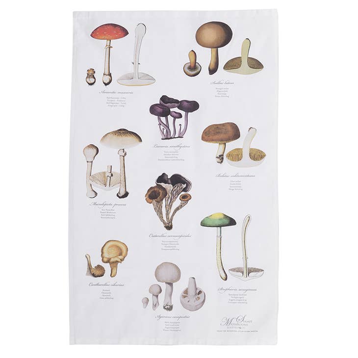 The Svampe Organic Tea Towel by Koustrup & Co Denmark features a grid of illustrated mushroom species with scientific names elegantly displayed, set against a crisp white background—ideal for an organic tea towel design.