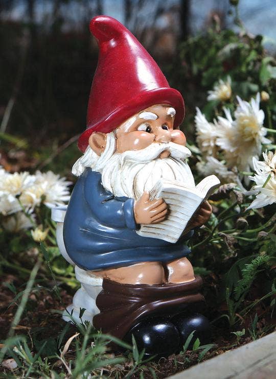 The Garden Gnome: Gnome on a Throne humorously features a gnome in a red hat sitting on a toilet, deeply absorbed in reading, amidst white flowers.