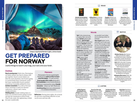 A group of campers sits by tents under the Northern Lights in the Lofoten Islands, with vivid green and blue auroras illuminating snowy mountains and pine trees—a scene you can discover more about in “Lonely Planet Norway Northern Lights Safari Far North Hiking & Skiing Oslo Walking Tours Travel Guide Paperback” by Hachette Book Group.