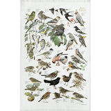 Tea Towel: Garden Birds by Carl Christian Tofte—features illustrated British garden birds labeled among plants, printed on 100% organic cotton (19x27) by Koustrupco.